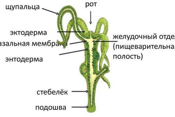 Почему не работает сайт мега сегодня