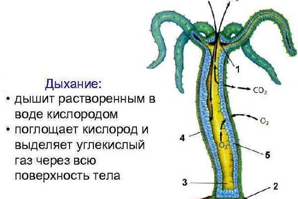 Мега анион зеркало