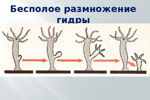 Рабочее зеркало кракен терпеть